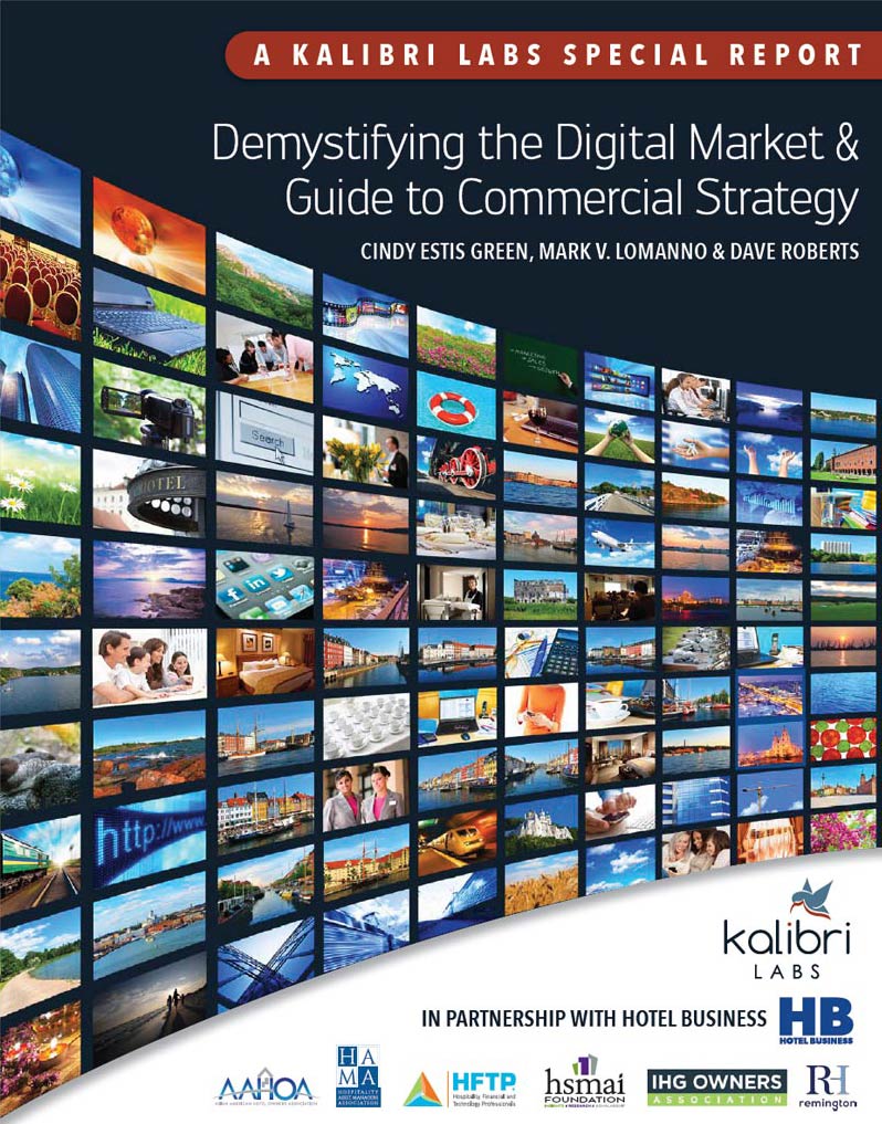 DDM Book Cover