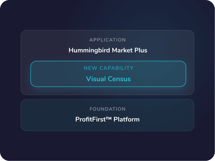 Visual Census